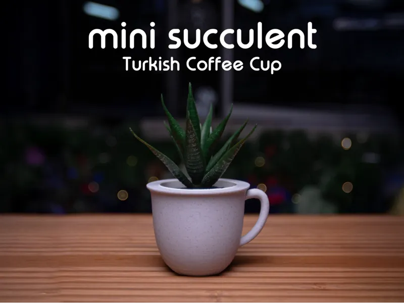 IKEA Mini Succulent - Turkish Coffee Cup
